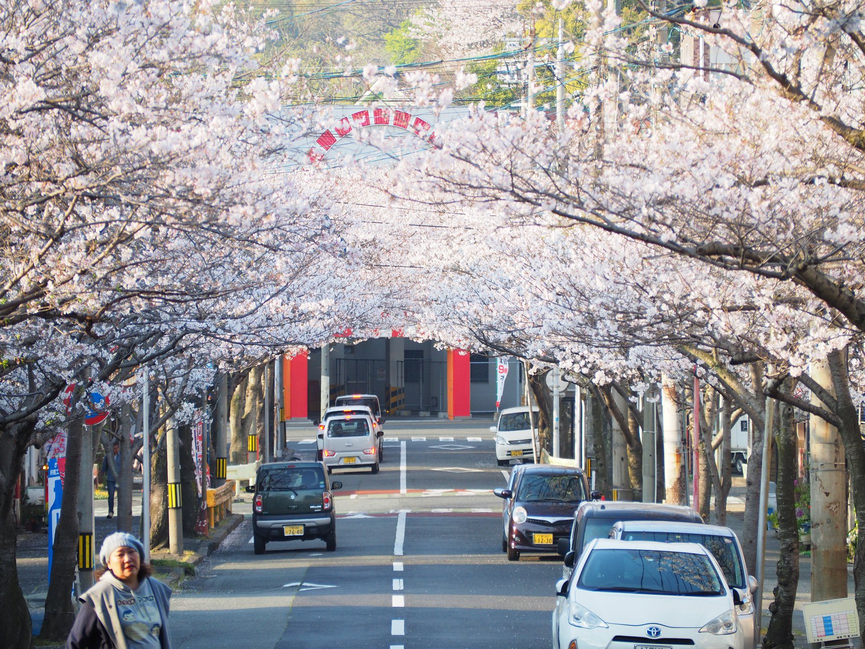 「唐戸さくらまつり2020」開催のお知らせ